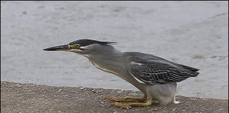 실례좀 하겠습니다~~