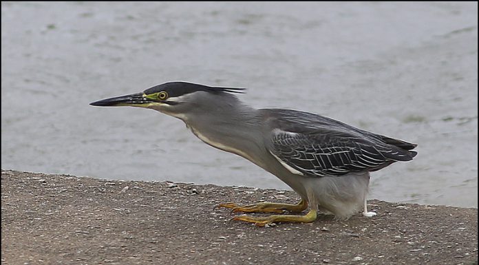 실례좀 하겠습니다~~