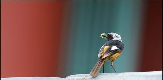 아가야! 엄마 아빠 여기있다