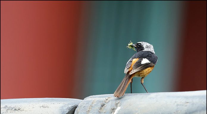 아가야! 엄마 아빠 여기있다