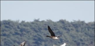 나는 누구일까요?