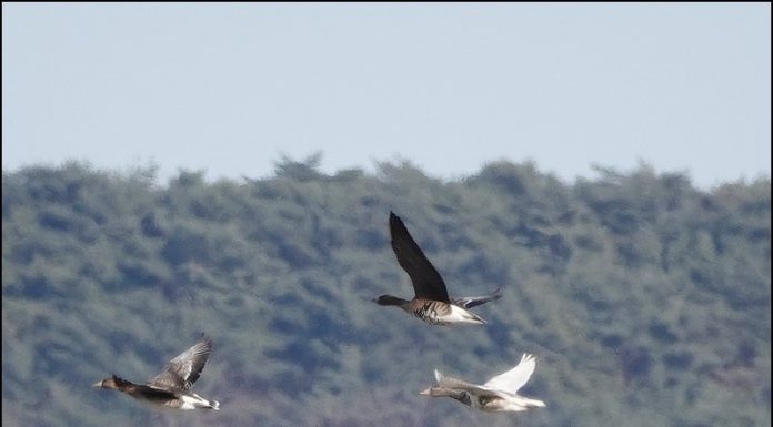 나는 누구일까요?