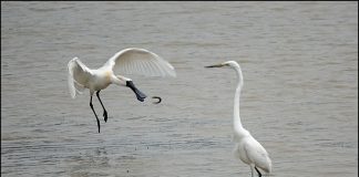 아~ 우째 이런일이?