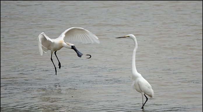 아~ 우째 이런일이?