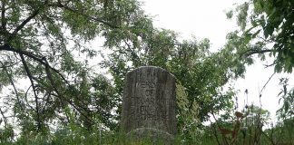 in memory of sgt avthur dolas