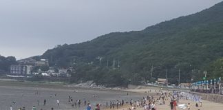 동막해수욕장, 민머루해수욕장 7월 1일부터 개장