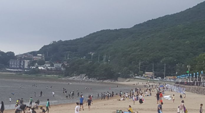 동막해수욕장, 민머루해수욕장 7월 1일부터 개장