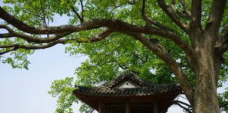 7. 연미정의 달맞이