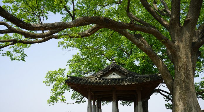 7. 연미정의 달맞이