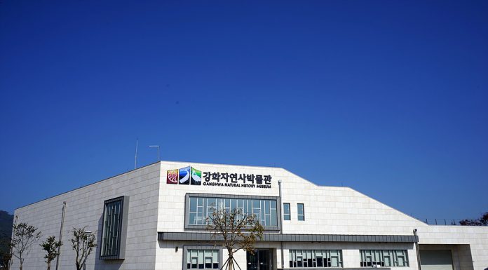 강화 자연사박물관