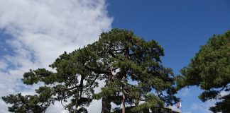 3. 초지진의 포대