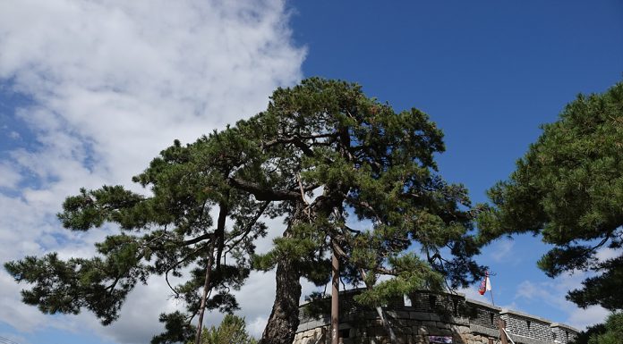 3. 초지진의 포대