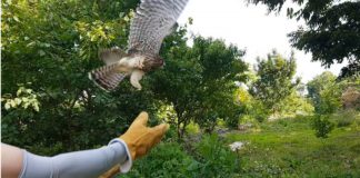 인천시 천연기념물 등 동물보호 앞장