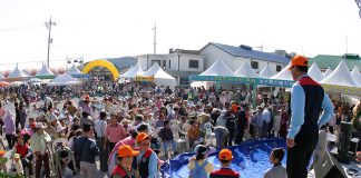 강화도 새우젓 축제