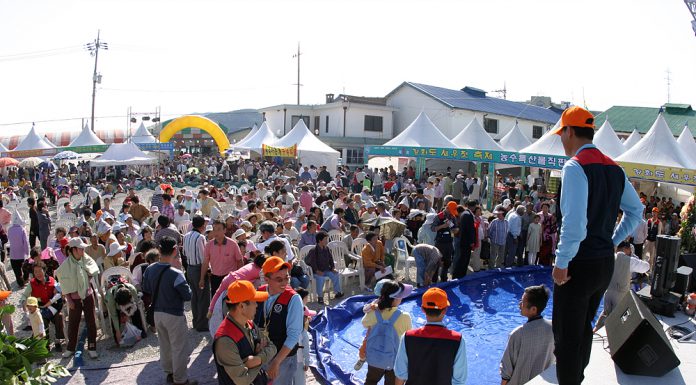 강화도 새우젓 축제