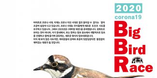 강화에서 비대면 온라인 탐조대회