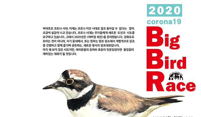 강화에서 비대면 온라인 탐조대회