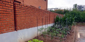 갑룡초 유휴공간찾아 생태학습장 마련