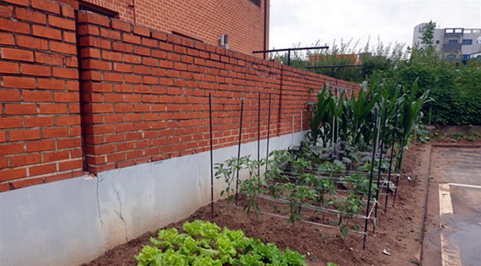 갑룡초 유휴공간찾아 생태학습장 마련