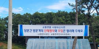 평화의 배 띄우기 행사 승인없이 강행, 물의