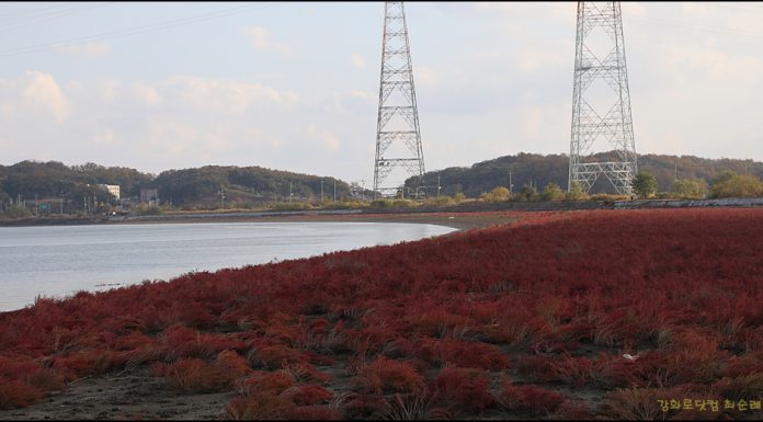 오두리갯벌의 가을
