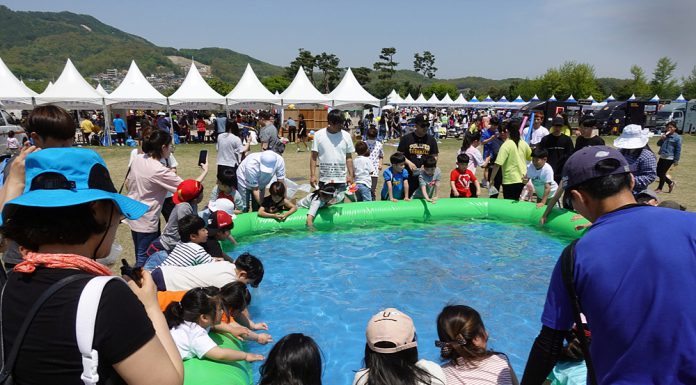 강화 어린이 축제