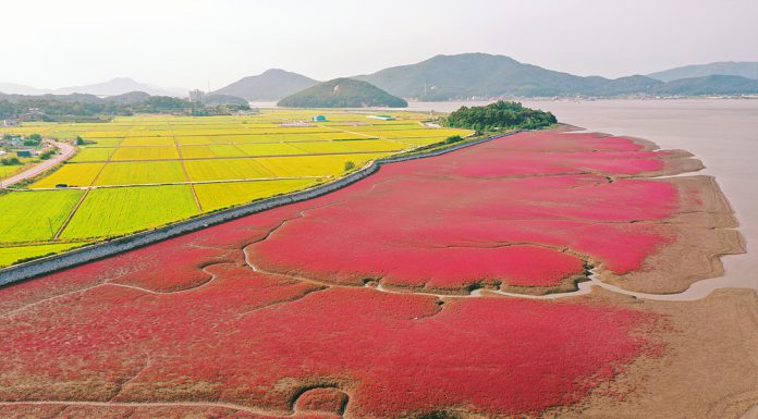 전등사, 석모도 칠면초군락지 전국 비대면 관광지 100선 선정