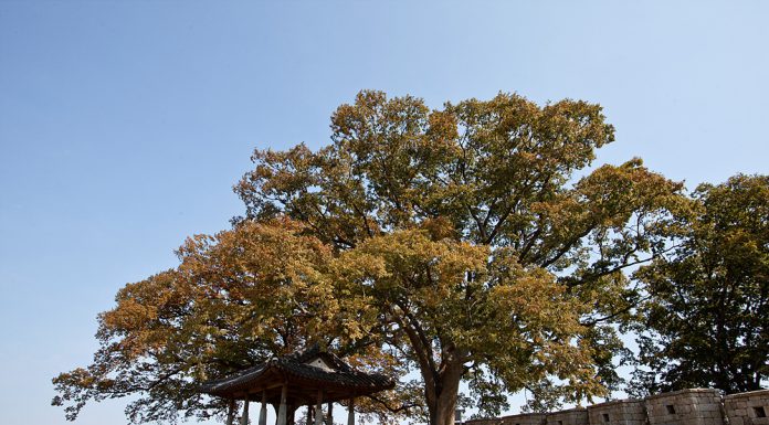 ‘연미정 모바일게임’ 관광콘텐츠 관광공사와 공동 개발