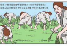 2000년 세계유산에 등재된 강화고인돌