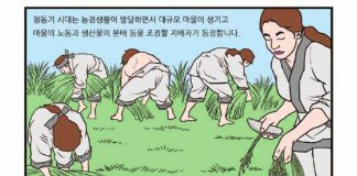 2000년 세계유산에 등재된 강화고인돌