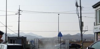 조류인플루엔자(AI) 대응 강화‧초지대교 방역