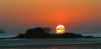 송구영신은 집에서, 마니산 폐쇄