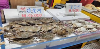 인천, 설 명절 원산지 표시 위반 등 17곳 적발