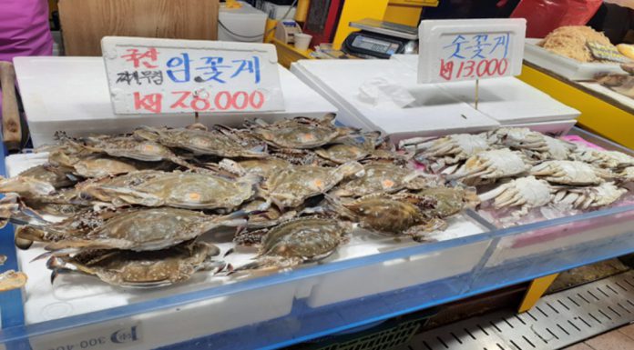 인천, 설 명절 원산지 표시 위반 등 17곳 적발