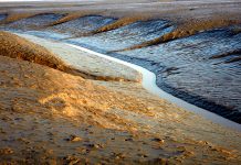 신비스러운 강화도 갯벌