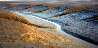 신비스러운 강화도 갯벌
