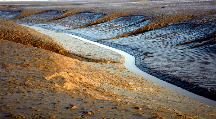 신비스러운 강화도 갯벌