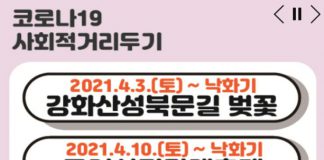 고려산 진달래 축제 올해도 안녕~~