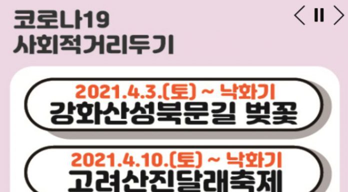 고려산 진달래 축제 올해도 안녕~~