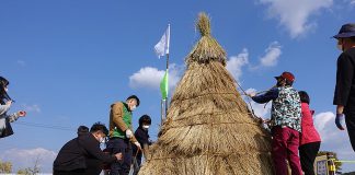 강화 고인돌 선사체험 5월 1일 부터 고인돌 광장에서 운영