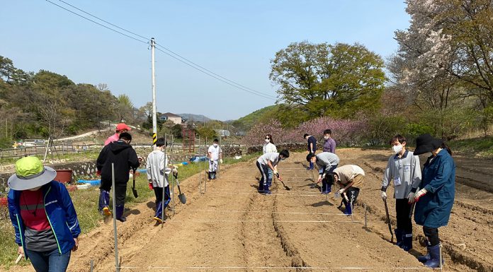 교육청, 원스톱 중학교 진로 직업 프로그램 운영