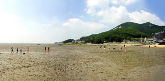 동막 해수욕장 7월 1일 개장