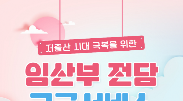 임산부 전담 119구급서비스를 올해 12월까지 시범 운영