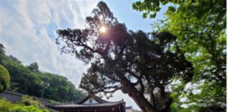 인천시 등록문화재 1호에서 4호까지 4건 등록고시