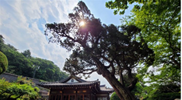 인천시 등록문화재 1호에서 4호까지 4건 등록고시