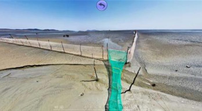 시립 박물관 홈페이지에서 ‘볼음도, 248명의 삶, 온라인 전시’ 운영