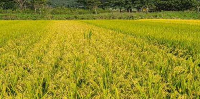농업인 공익수당 사전협의 되면 확대지원 의사있다. 입장발표