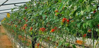 농업기술센터, 2021년 농촌진흥사업 우수기관상 수상