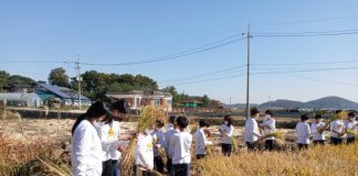 강화군, 도감 뿌리농원 등 사회적 농업 거점농장 3개소 선정