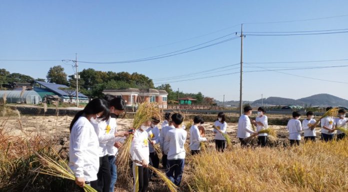 강화군, 도감 뿌리농원 등 사회적 농업 거점농장 3개소 선정